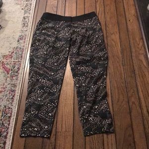 Anne Taylor loft dress pants